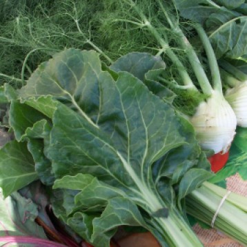 verduras-ecologicas-invierno-bacarot-alicante-100_3866