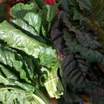 verduras-ecologicas-invierno-bacarot-alicante-100_3868