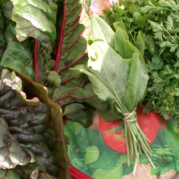 verduras-ecologicas-invierno-bacarot-alicante-100_3869